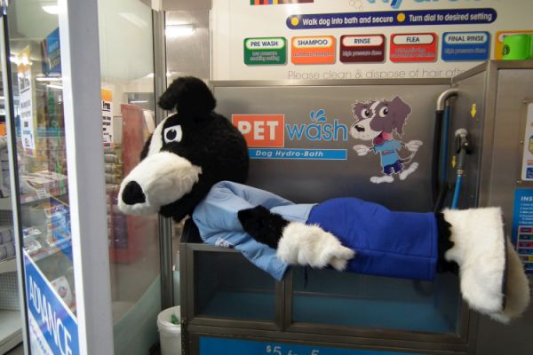 Internet-Trend Planking