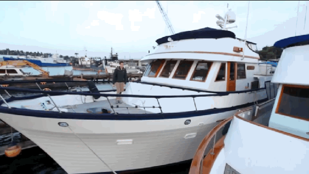 Bewegter Picturedump 494