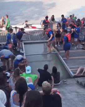 Bewegter Picturedump 494