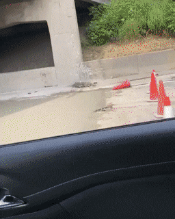 Bewegter Picturedump 494