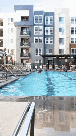 Bewegter Picturedump 494