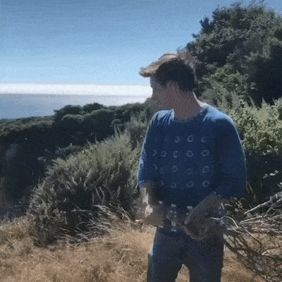 Bewegter Picturedump 494