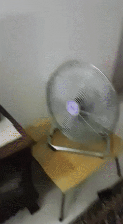 Bewegter Picturedump 494