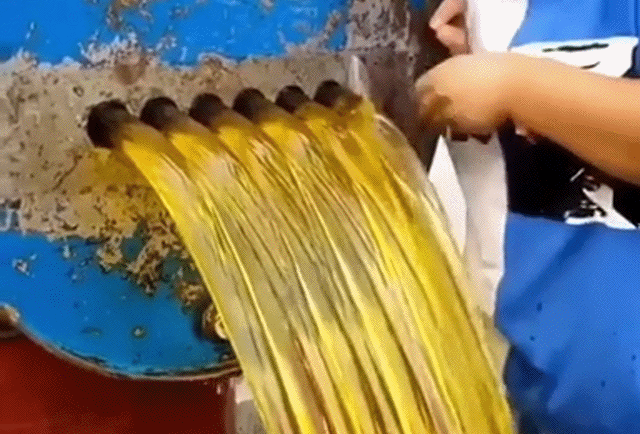 Bewegter Picturedump 494