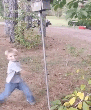 Bewegter Picturedump 494