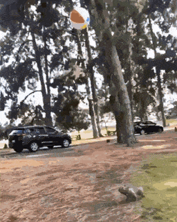 Bewegter Picturedump 494