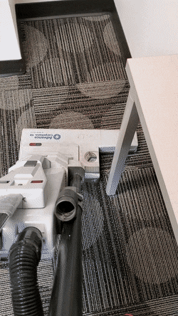 Bewegter Picturedump 494