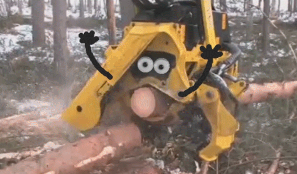 Bewegter Picturedump 342