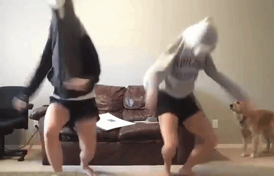 Bewegter Picturedump 342