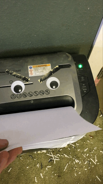 Bewegter Picturedump 342