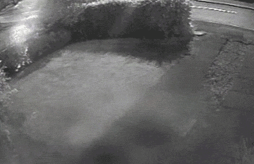 Bewegter Picturedump 268