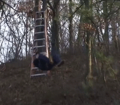 Bewegter Picturedump 268