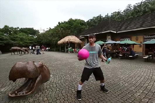 Bewegter Picturedump 281