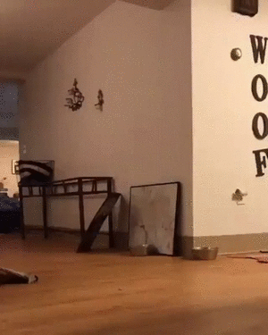 Bewegter Picturedump 442