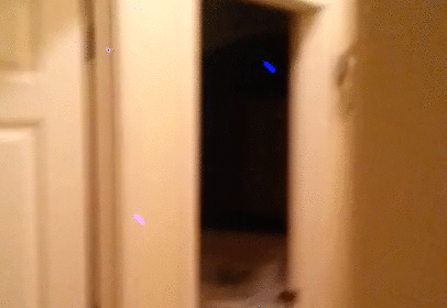 Bewegter Picturedump 242