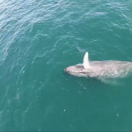 Bewegter Picturedump 464