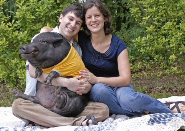 Familienfotos mit dem Haustier