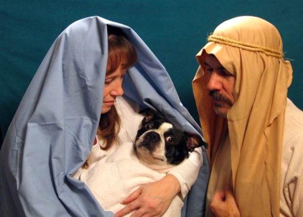 Familienfotos mit dem Haustier