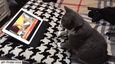 Bewegter Picturedump 429