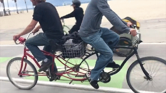 Bewegter Picturedump 429