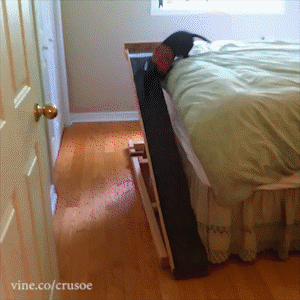 Bewegter Picturedump 229