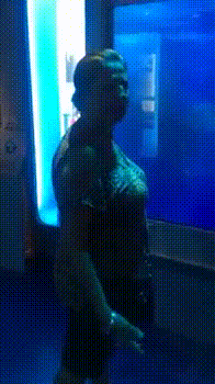 Bewegter Picturedump 229