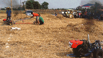 Bewegter Picturedump 229