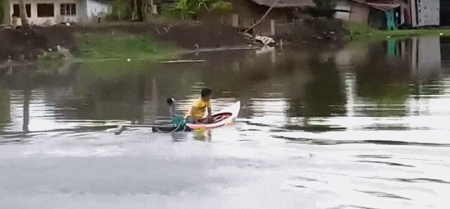 Bewegter Picturedump 390