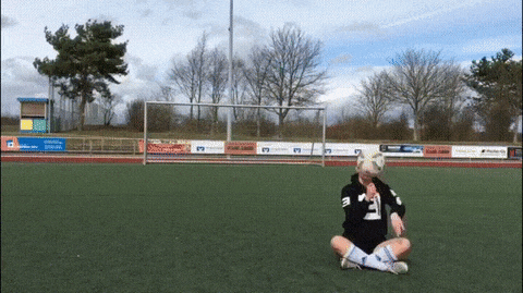 Bewegter Picturedump 390