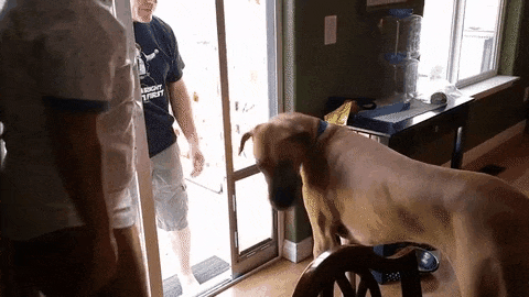 Bewegter Picturedump 390