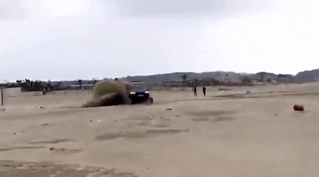 Bewegter Picturedump 390