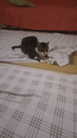 Bewegter Picturedump 390