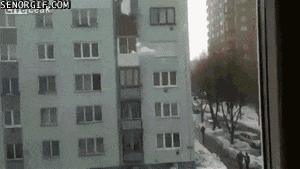 Bewegter Picturedump 390