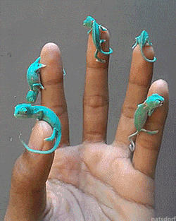 Bewegter Picturedump 390