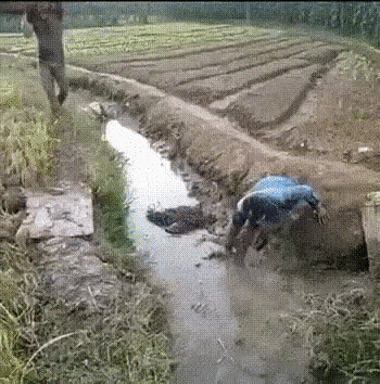 Bewegter Picturedump 503