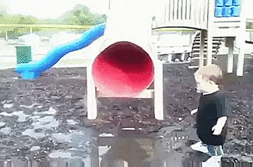 Bewegter Picturedump 503