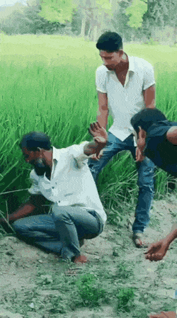 Bewegter Picturedump 503