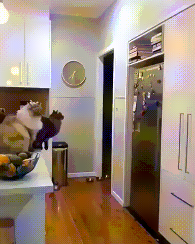 Bewegter Picturedump 503