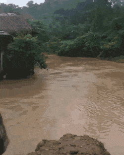 Bewegter Picturedump 503