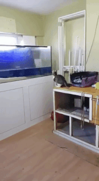 Bewegter Picturedump 503