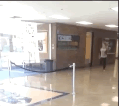 Bewegter Picturedump 503