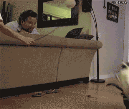 Bewegter Picturedump 503