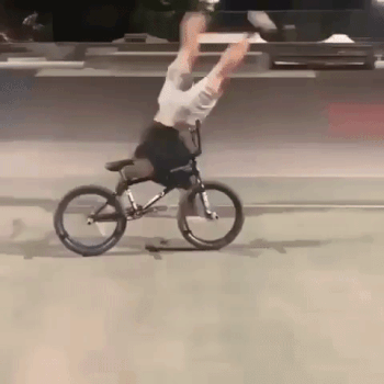 Bewegter Picturedump 503