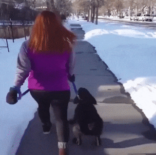 Bewegter Picturedump 377