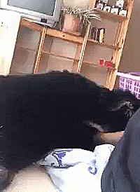 Bewegter Picturedump 377