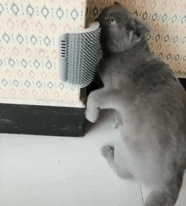 Bewegter Picturedump 490