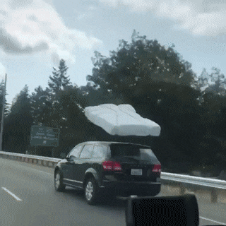 Bewegter Picturedump 490