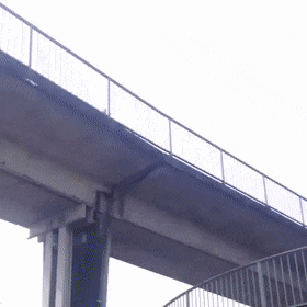 Bewegter Picturedump 490