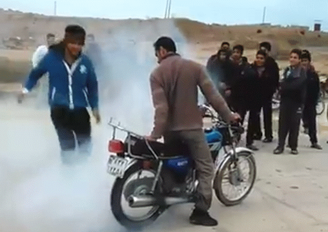 Bewegter Picturedump 490