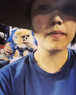 Bewegter Picturedump 490